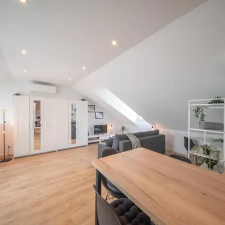 Superbe Appartement Climatise Parking Gratuit Mülhausen Exterior foto