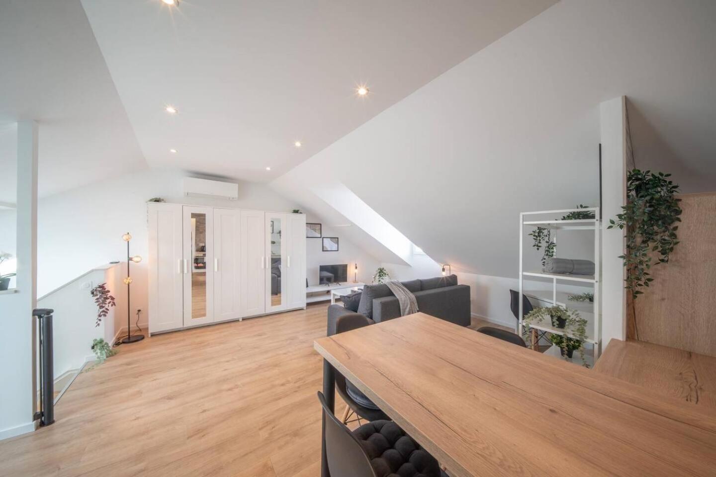 Superbe Climatise Parking Gratuit Apartment Mulhouse